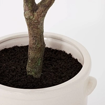76.5"x 30" Artificial Olive Tree In Ceramic Pot - Threshold™ Designed With Studio McGee 5 76.5"x 30" Artificial Olive Tree In Ceramic Pot - Threshold™ Designed With Studio McGee - Image 3