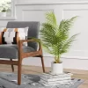 28" X 24" Artificial Palm Plant Arrangement In Pot - Threshold™ 1 28" X 24" Artificial Palm Plant Arrangement In Pot - Threshold™ -Threshold GUEST 8dba00b8 bd00 4dc2 8e2f a4531e343351
